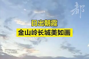 记者：新加坡那晚张琳芃仅和妻子发了条微信，随后手机设勿扰模式